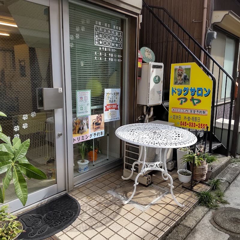 ドッグサロン アヤの写真3