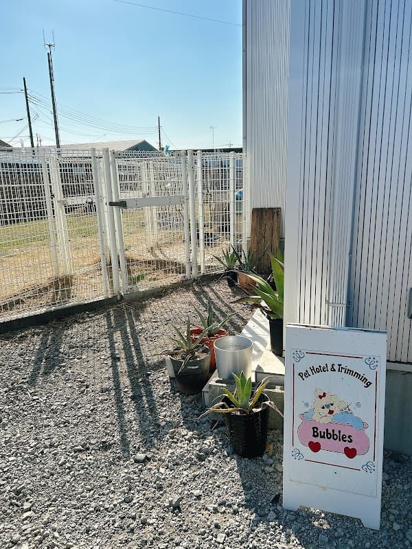ペットホテル&トリミング バブルスの写真