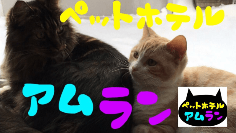 ペットホテル アムランの写真1