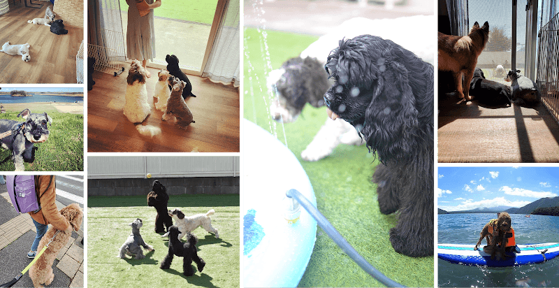 Dog Salon Panna ドッグサロンパンナの写真1