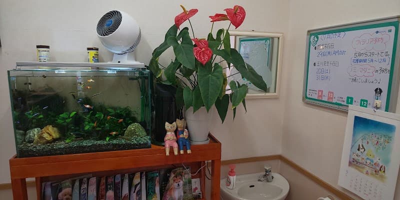 さくらだ動物病院の写真