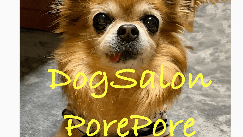 DogSalon Pore*Pore ~ぽれぽれ~の写真