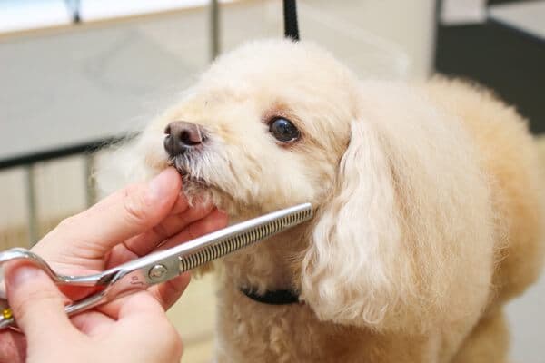 PET-SPA厚木店の写真