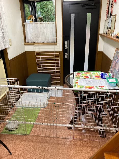 ペットホテル華月の写真