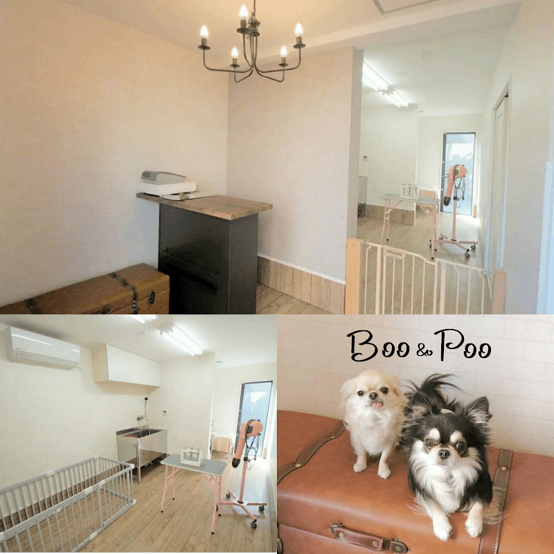 Dog Salon Boo&Pooの写真