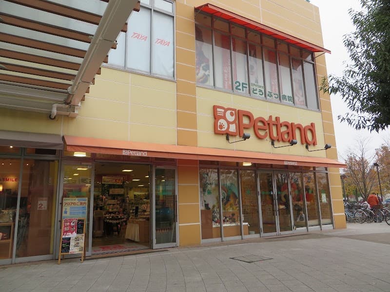 ペピカファミリー 大宮宮原店の写真