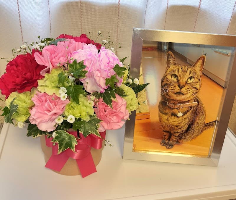 けやき通り動物病院の写真