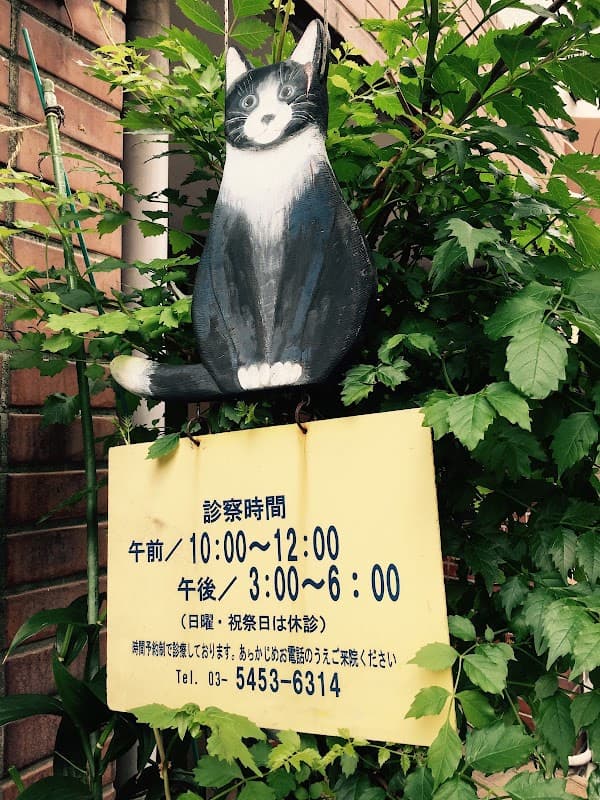 ねこの病院 代々木上原の写真