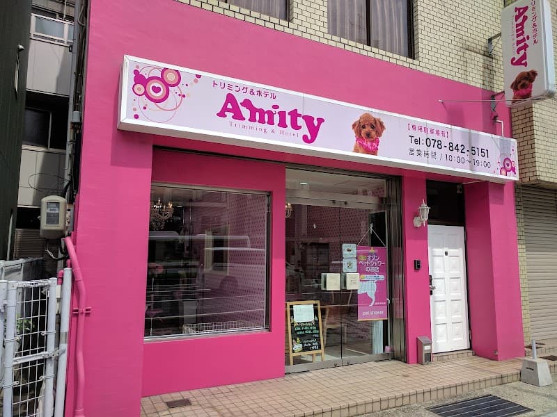 Amityの写真1