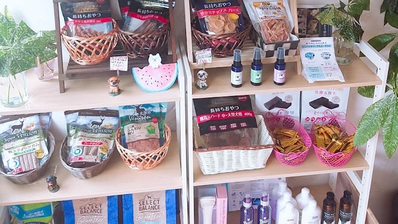 いぬのとこ屋さんMuuの写真