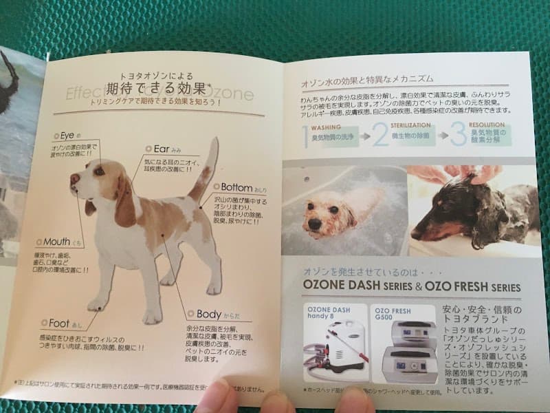 ドッグケアWellupの写真