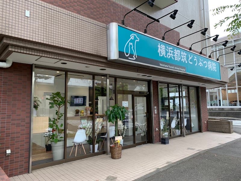 横浜都筑どうぶつ病院の写真