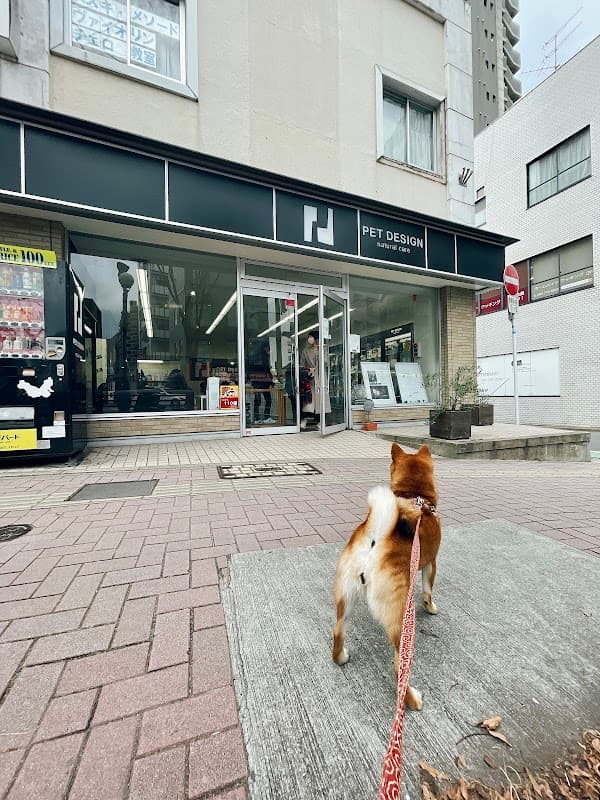 ペットデザイン 赤坂けやき通り店の写真