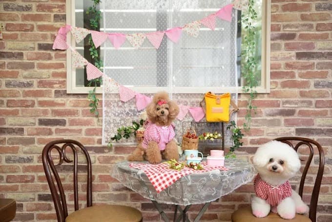 Cafe de Roro & Dogs くずは店の写真