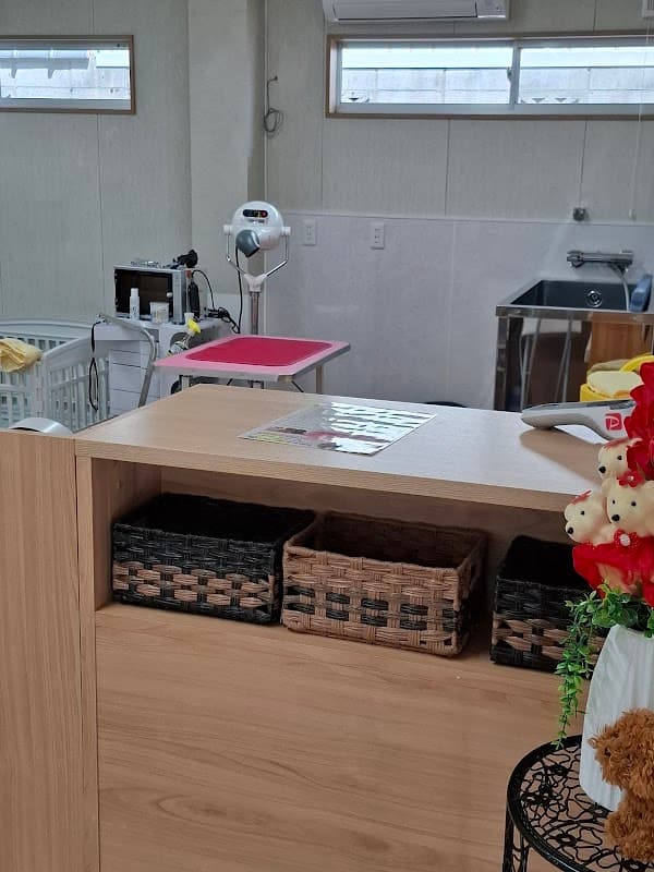ドッグサロンプリールの写真