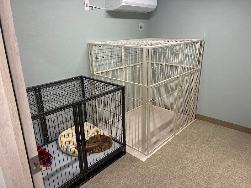 ドッグサロン&ホテル DOGLEの写真4