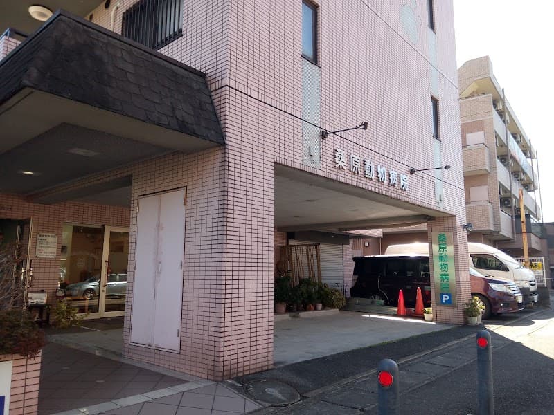 桑原動物病院の写真