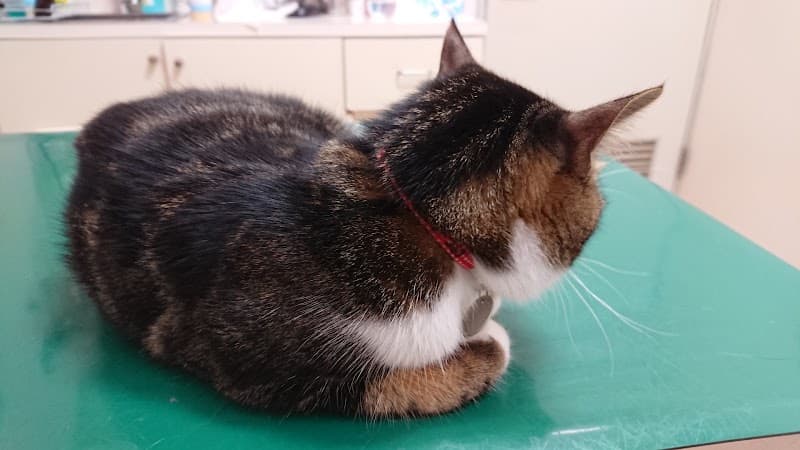 長嶋動物病院の写真