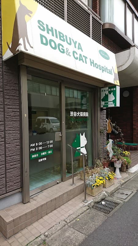 渋谷犬猫病院の写真