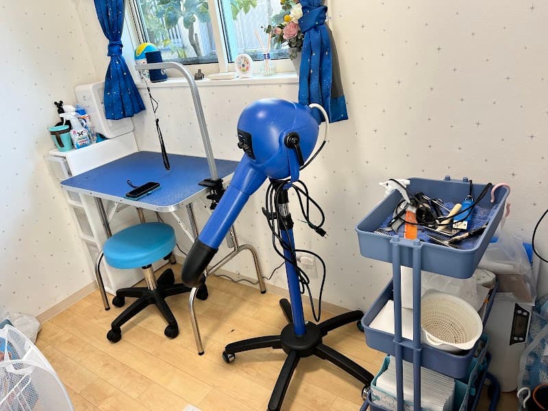 DogSalonBlueStarの写真