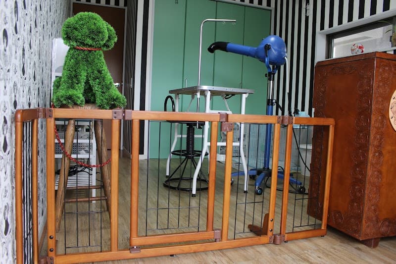 トリミングサロン カニッシュの写真