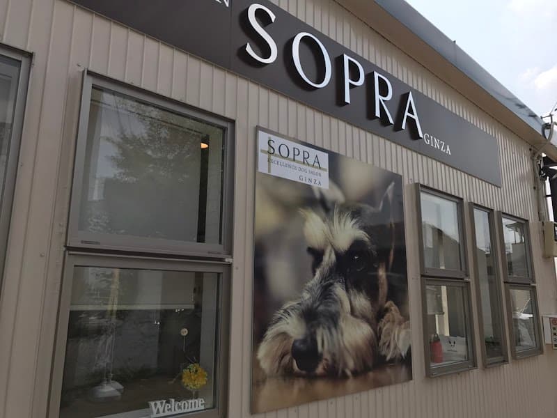 トリミング&ペットホテル SOPRA(ソプラ) 川島インター店の写真1