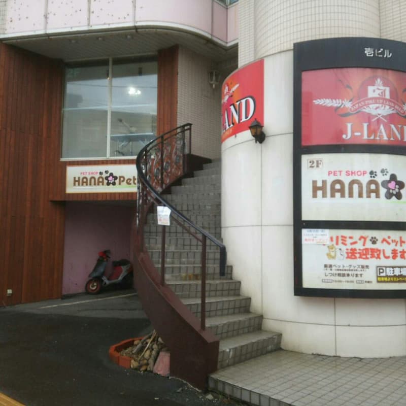 ペットショップ HANA Petの写真