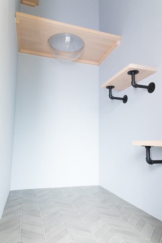 ペットホテルcat house ねこの森の写真