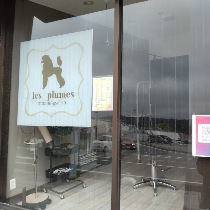 les plumesの写真