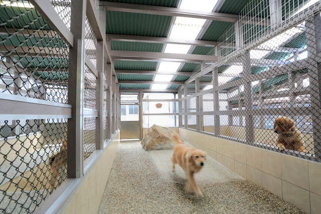 ペットホテル PAWSの写真