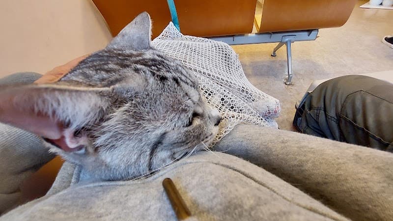寺田動物病院の写真