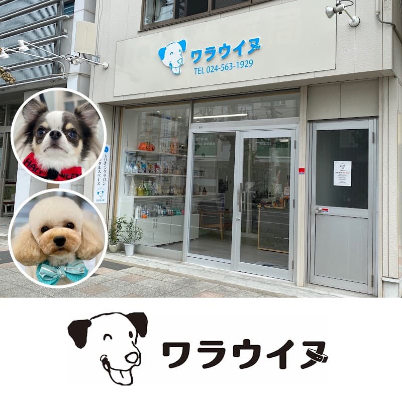 ワラウイヌの写真
