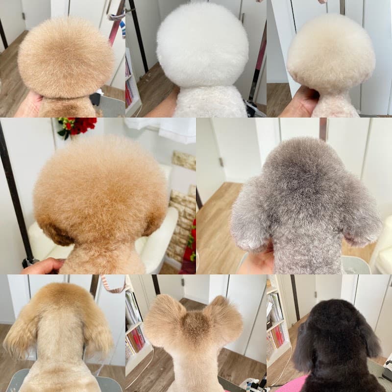 Dog Salon onelifeの写真3