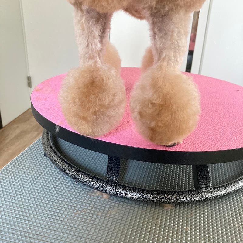 Dog Salon onelifeの写真4