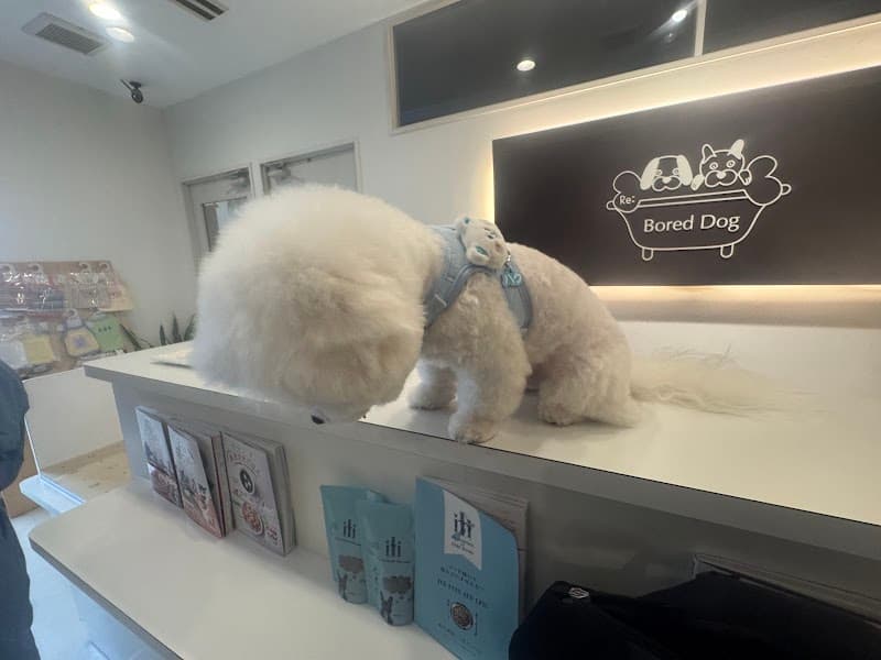 Mau Pono Pet Salon(マウポノ ペットサロン)の写真