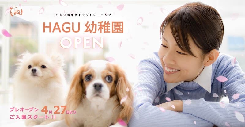 犬のしつけハグの写真