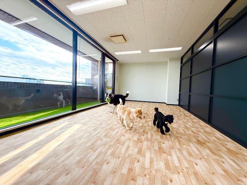 Dog salon わんPeace(わんぴーす) ペットホテル・トリミング・一時預かり・シニア犬介護の写真