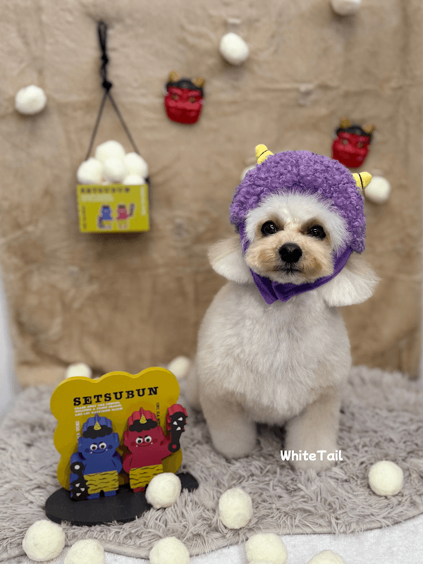 dogsalon WhiteTail (ドッグサロン ホワイトテイル)の写真1