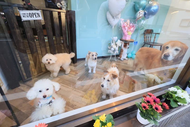PET CARE PLACE 横浜大岡店の写真1