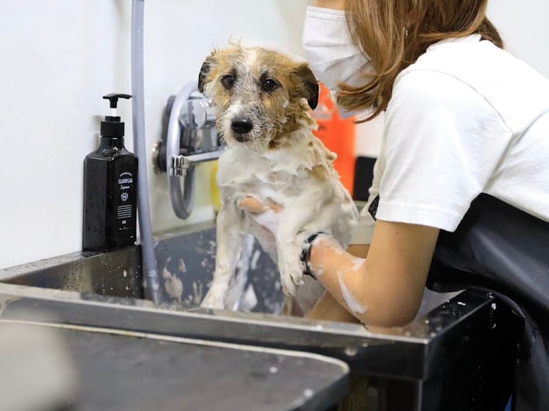 PET CARE PLACE 横浜大岡店の写真5