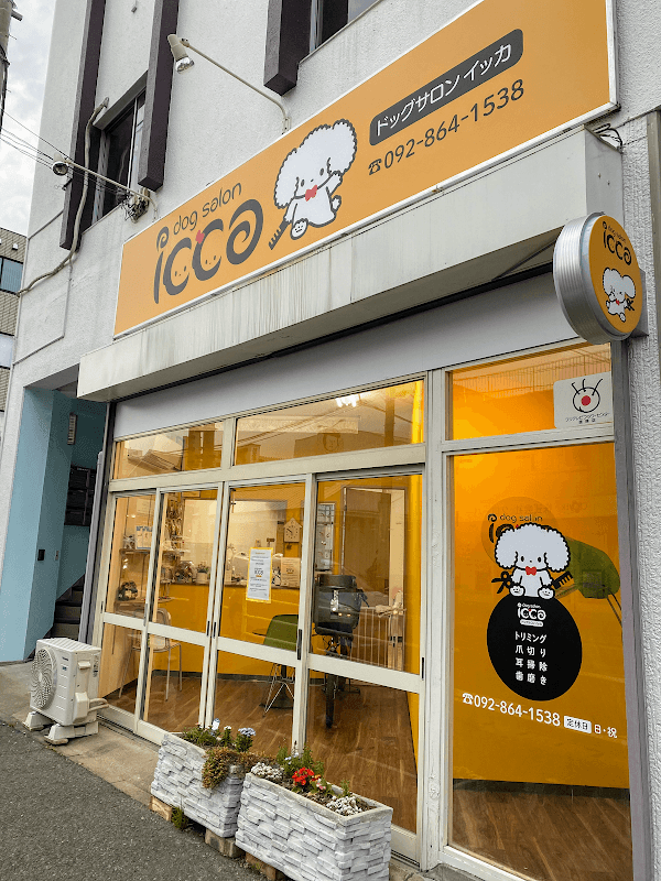 dog salon icca(ドッグサロン イッカ)の写真