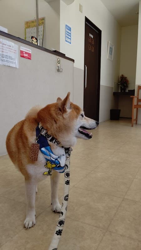 チョコ動物病院の写真