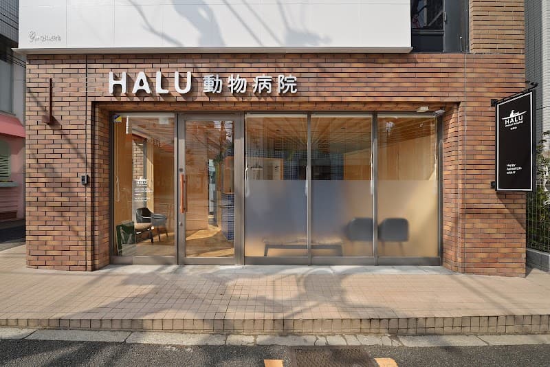 HALU代官山動物病院の写真