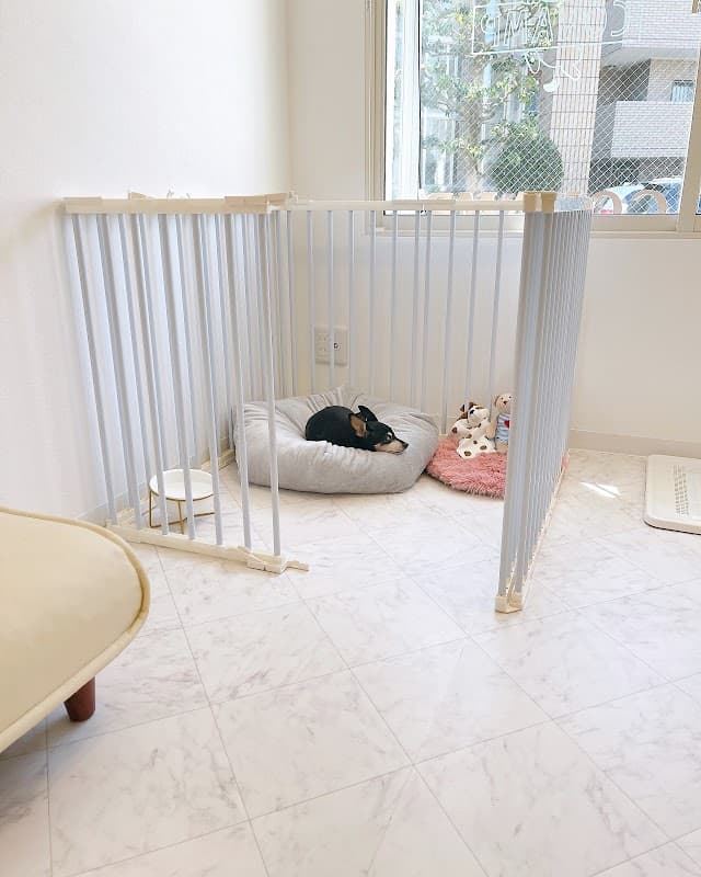 dog care salon CONAMP《トリミングサロン コナンプ》の写真