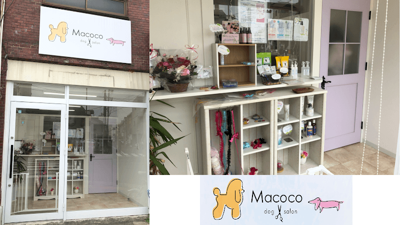 dog salon Macocoの写真