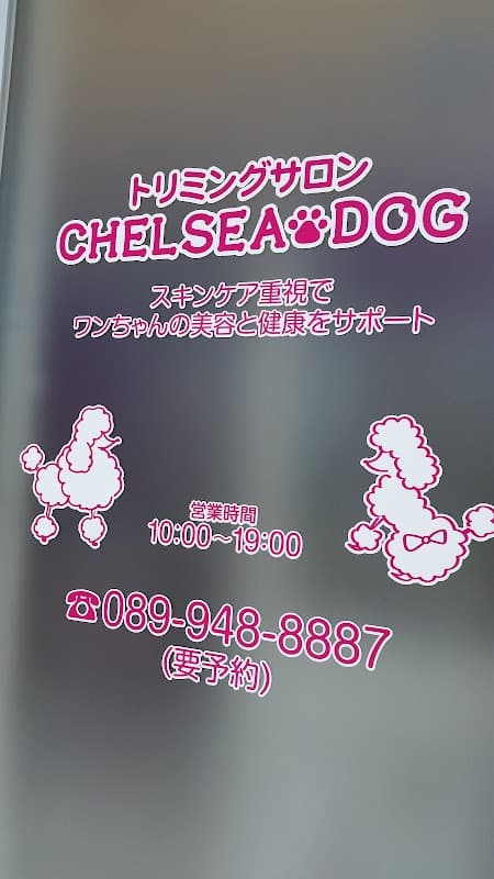 トリミングサロン チェルシードッグ(CHELSEA DOG)の写真