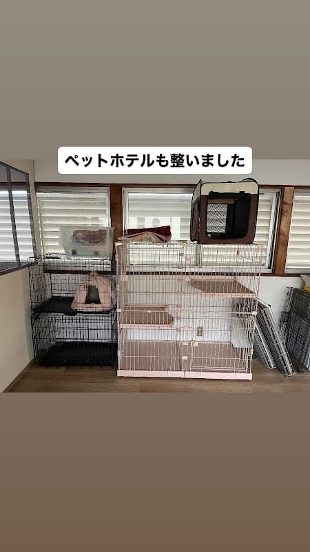 保護猫カフェ あみ トリミングサロンあみの写真