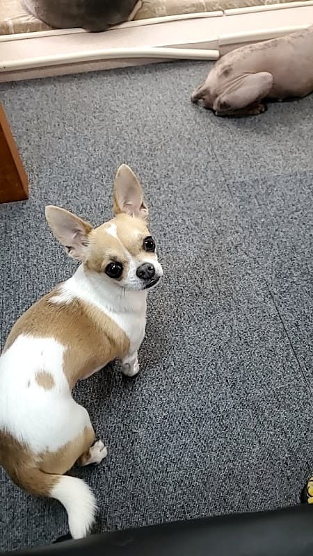 癒育園 ばぁ~ふの写真