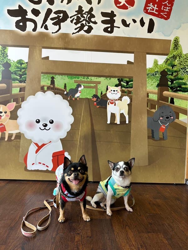 ペット預かり 犬泊 伊勢内宮店の写真