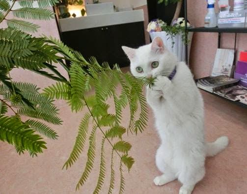駿河どうぶつの病院の写真